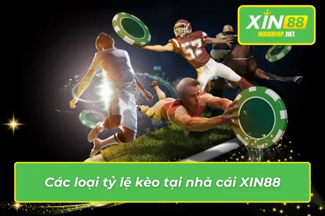 Tỷ Lệ Kèo Nhà Cái Xin88 - Cập Nhật Liên Tục, Tỷ Lệ Chính Xác Những loại tỷ lệ kèo nhà cái tại Xin88
